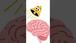 Why spicy food feels painful but enjoyable