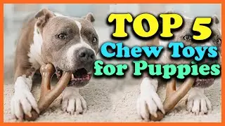✅Top 5 Best Chew Toys for Puppies of 2025