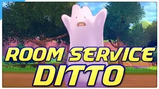 Room Service DITTO? VGC 2021 Series 9 Pokemon Sword and Shield Competitive Doubles Wifi Battle