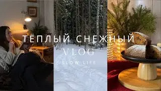 VLOG: снежный шторм, воспоминания из детства, дача и рецепт любимого Морковного кекса