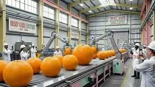 Inside Sweets Factory From Fresh Oranges to Bottled Orange Juice Production Line — How It’s Made