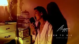 ANGGUN DAE // Born To Die (LANA DEL REY) | Gentle Cover