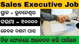 Sales Executive Job | Odisha Private Job 2019 | Odisha Job 2019