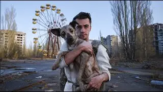 Собаки Припяти &mdash; верные обитатели города-призрака