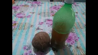 Xarope poderoso de coco e mel para tratar a bronquite e fortalecer o pulm&atilde;o