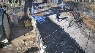 Serial Burglars