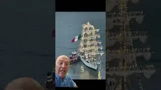 Why did the Mexican Navy Training Ship Cuauht&eacute;moc Strike the Brooklyn Bridge on May 17, 2025