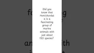 Hemichordates:The mysterious Marine worm!