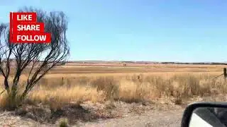 Australia's Scorching Hot City Drive (And The Secret They&rsquo;re Hiding)