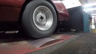 Birdmod tire wrinkle on the dyno
