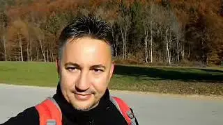 Passeggiata nel bosco, autunno 2017