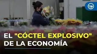 Asocolflores advierte riesgo para 150.000 empleos con incremento del salario mínimo