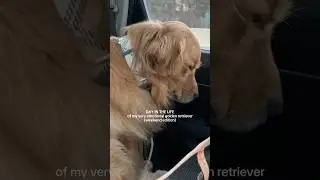 He had a really big day&hellip;