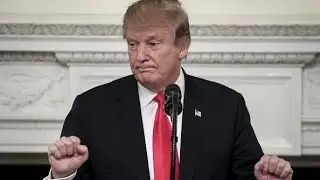 Senate has enough votes to block Trump's emergency declaration