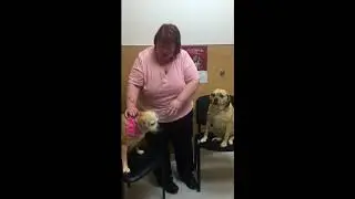 Another 😍 Happy Client of Companion Pet Clinic of Clackamas!