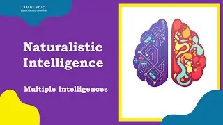 7- Naturalistic Intelligence
