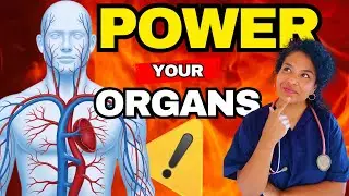 Are your blood vessels the missing key to health?