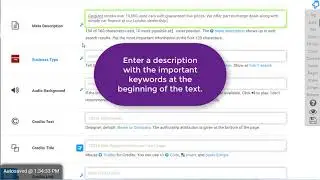 Automatic Search Engine Optimization