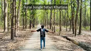 Surai Range Khatima Jungle Safari 🐅 | Easa Bhayanak Jungle Apne Pass Mein 😳