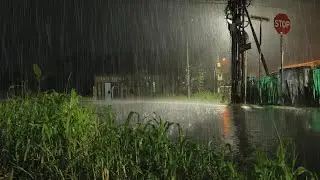 Peaceful Rain Falling on a Silent Night Road | Relaxing Rain Sounds for Better Sleep