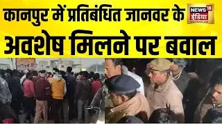 Kanpur में प्रतिबंधित जानवर के अवशेष मिलने पर बवाल | UP News | Kanpur News | Yogi Adityanath