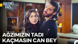 Can ve Sanem Aşkına Büyük Vurgun! - Erkenci Kuş
