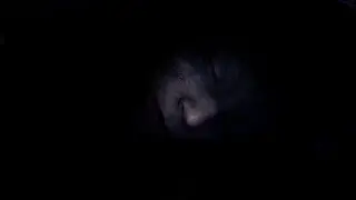I Know It From The Wilds / Valravyn's Keep Part 6 / Hellblade Senua's Sacrifice Playthrough / Ep. 8