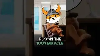 FLOKI made me a millionaire&hellip; #floki #flokiinucoin #millionaire