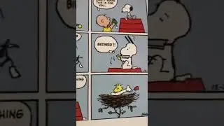 A Day Of Peanuts 10