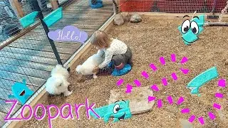 Zoopark Mega Kaunas Mini Zoo Gyvūnai Lietuvi&scaron;kai