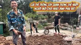 Giá thể trồng cây quan trọng thế nào? Người mới chơi nhất định phải biết#bonsai #bonsaitree #caycanh