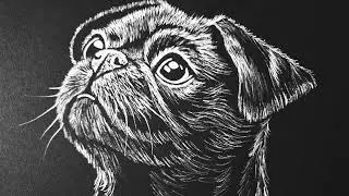 Pug Drawing in White Ink | Handmade Dog Art on Black Paper | Original Pug Art