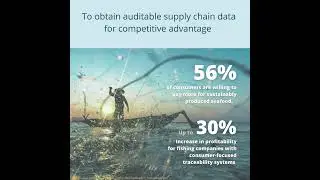 Seafood Traceability