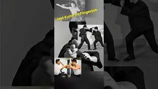 JKD Eye Jab #martialarts #jeetkunedo