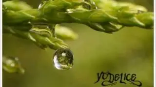 Yodelice - Shadow Boxing