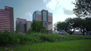 Katy Prairie Conservancy - A Growing Partnership with The Garden Club of Houston
