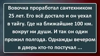 Сантехник Вовочка Уехал в Тайгу! Сборник Анекдотов Синего Предела №183
