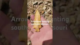 Arrowhead hunting southeast Missouri