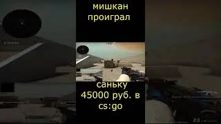 Мишкан проиграл саньку в csgo #shorts