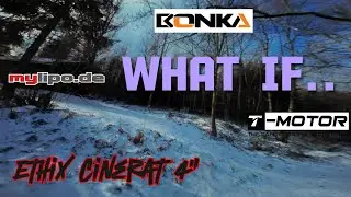 What if..... #ethixltd #cinerat #bonkapower #mylipo #tmotor #gemfan