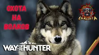 ⭐ ОХОТА НА ВОЛКОВ  ⭐ ПУТЬ ОХОТНИКА ⭐ Way of the Hunter ⭐