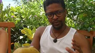 Ecstatic Dance Teacher / Facilitator Training with Ecstatic Dance Temple&trade; Testimonials 3