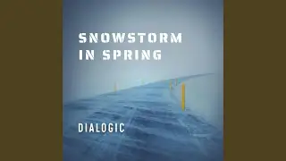 Snowstorm In Spring