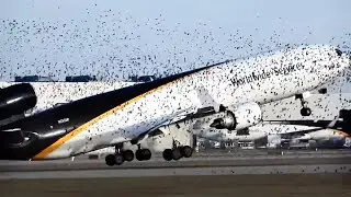 Plane Hits Birds On Takeoff | Aviation Dose | Weekly Dose Of Aviation