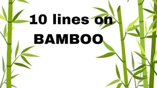 bamboo essay/essay on bamboo/10 lines on bamboo