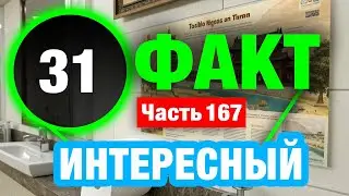 31 Любопытный Факт Который Сделает Вас Умнее