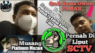 Tips Memelihara Dan Merawat Musang Bagi Pemula,Langsung Dari Ahlinya || Pondok Luwak Banyumas