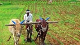 Ap agriculture updated Sensus Report Part -1  | Ap police