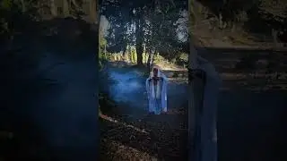 Forest Creature.  #forest #darkwonderland #pnw #horror #creepy #scareactor ##wicked ##nightmare
