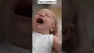 # fact number 6